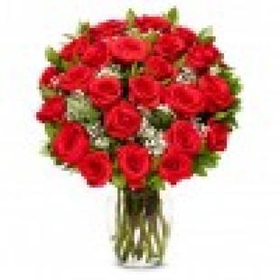 Two Dozen Premium Long Stem Red Roses